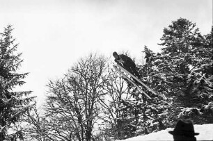 Hinterzarten: Springer
