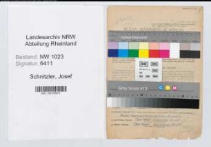 Entnazifizierung Josef Schnitzler , geb. 16.01.1898 (Ingenieur)