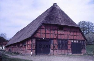 Blumendorf: Gut: Jungviehstall mit Reetdach: Ansicht von Osten