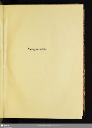 Vorgeschichte