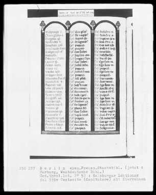 Lektionar aus Salzburg — Capitulare, Folio 339verso