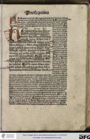 Prosa prima