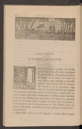 Capítulo CCXVII - La llegada del doctor