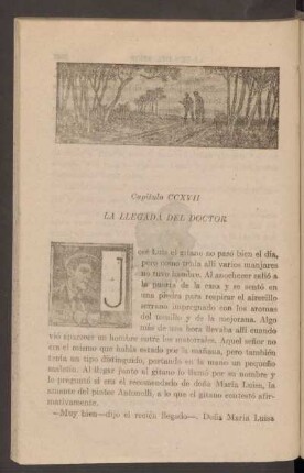 Capítulo CCXVII - La llegada del doctor