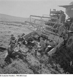 Landwirtschaft