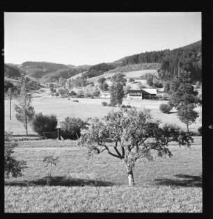 Sommer im Südschwarzwald