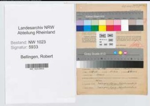 Entnazifizierung Robert Bellingen , geb. 25.05.1907 (Einkaeufer)