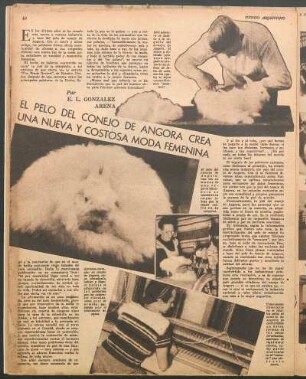 El pelo del conejo de angora crea una nueva y costosa moda femenina