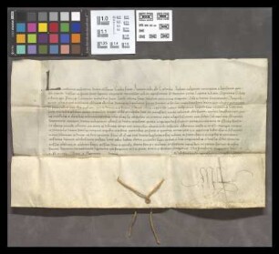 Mainz (St. Jakobsberg): Privilegium pro Conventu Monast. St. Jacobi extra muros Mogunt. ad habenda altaris portatilia