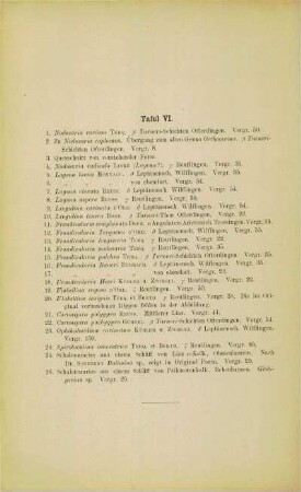 [Erläuterungen zu] Tafel VI