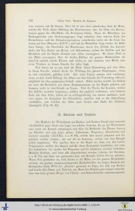 II. Rücken und Nacken.