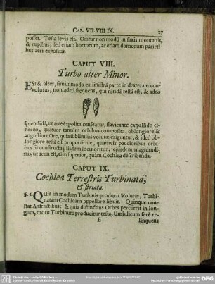Caput IX. Cochlea Terrestris Turbinata, & striata