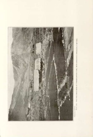 Plate LXV. The rice beds at transplanting time, ...