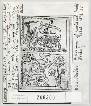 Wien, Nationalbibliothek: Cod. 507. Musterbuch. Monster und Tiere, Anfang 13. Jhd.