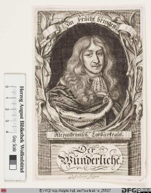 Bildnis Ferdinand Albrecht I., Herzog zu Braunschweig-Lüneburg-Bevern
