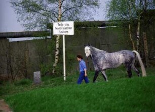 Berlin Mauer mit Pferd