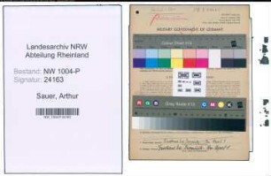 Entnazifizierung Arthur Sauer , geb. 07.05.1889 (Studienrat)