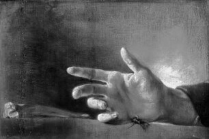 Hand, eine Fliege fangend