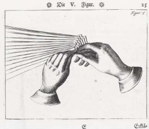 Die V. Figur, Seite 25