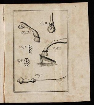 Fig. I. - Fig. VI.