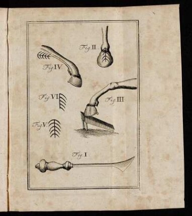 Fig. I. - Fig. VI.