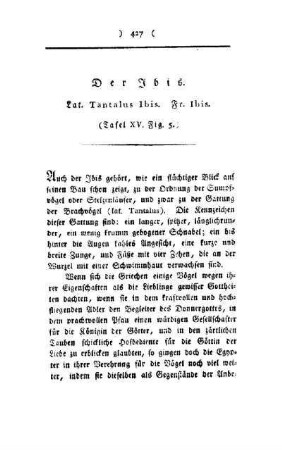 ¬Der¬ Ibis : Lat. Tantalus Ibis, Fr. Ibus ; (Tafel XV, Fig. 5)
