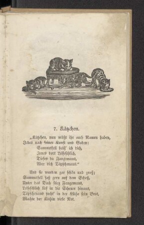 7. Kätzchen.