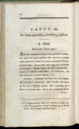 Caput III. De literis radicalibus, servilibus, præfixis.