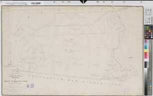 Ammeloe (Vreden), Teilung der Ammeloe-Wennewicker Mark, Bl.3 Brouillonkarte Nr. 165-201