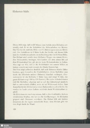 Elefant-Maße