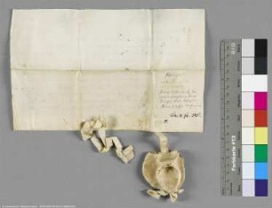 (Grafen Albrecht und Bernhard II. von Bernburg, genannt von Anhalt)