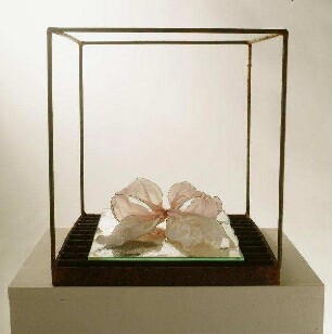 "Lottes Schleife" (Goethes "Werther")