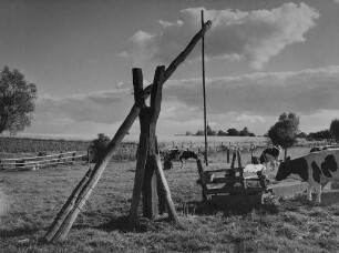 Archivfotografie "brandenburg_landschaften_893"