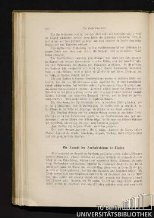 Die Anzucht der Aprikosenbäume in Töpfen.