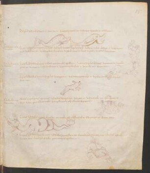 Federzeichnungen Sternbilder: Delphinus, Orion, Canis maior, Argo Navis, Cetus, Eridanus