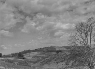 Weideland : Weideland im Chercher-Gebirge mit Baum- und Buschvegetation.