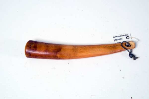 Ivory horn