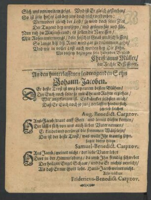 An den hinterlassenen leidtragenden Sohn Johann Jacoben.