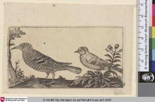 [Ein Star und eine Meise; A starling and a titmouse, in profile to the left]