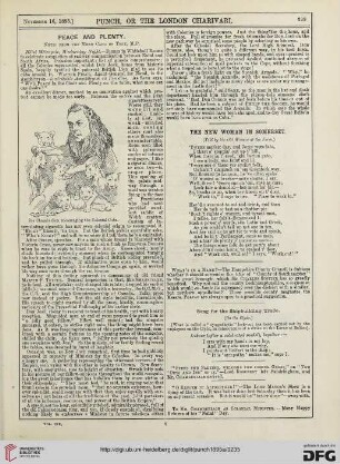 November 16, 1895