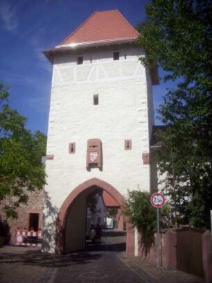 Stadtbefestigung-Stadttor (oberes Tor) - Torturm von Feldseite mit Durchfahrt (Torflügel nicht ergänzt) sowie Wurferker und Schlüsselloch-Schießscharten in Übersicht