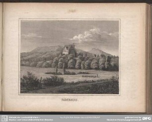 ROSENAU