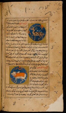 Illustration: f. 23v-25v