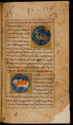 Illustration: f. 23v-25v