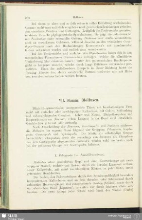 VII. Stamm: Mollusca
