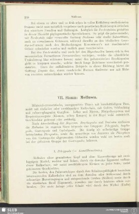 VII. Stamm: Mollusca