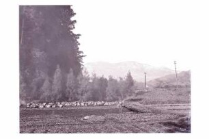 Japan. Landschaft bei Nikkō mit Feldern im Vordergrund und Bergmassiv der Nikkōberge im Hintergrund