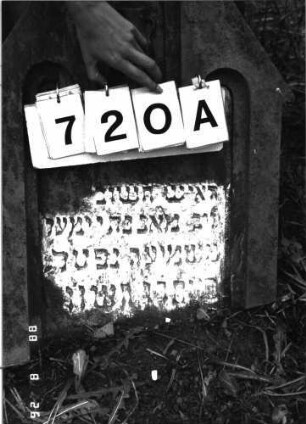 Grabstein 720 (Index: 100099610) Maße HxBxT: 166x54x11 cm Symbolik: Levitenkanne: Grabstein 720A