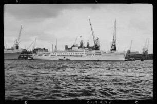 Aurelia