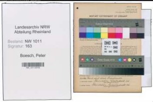 Entnazifizierung Peter Boesch , geb. 15.06.1906 ()